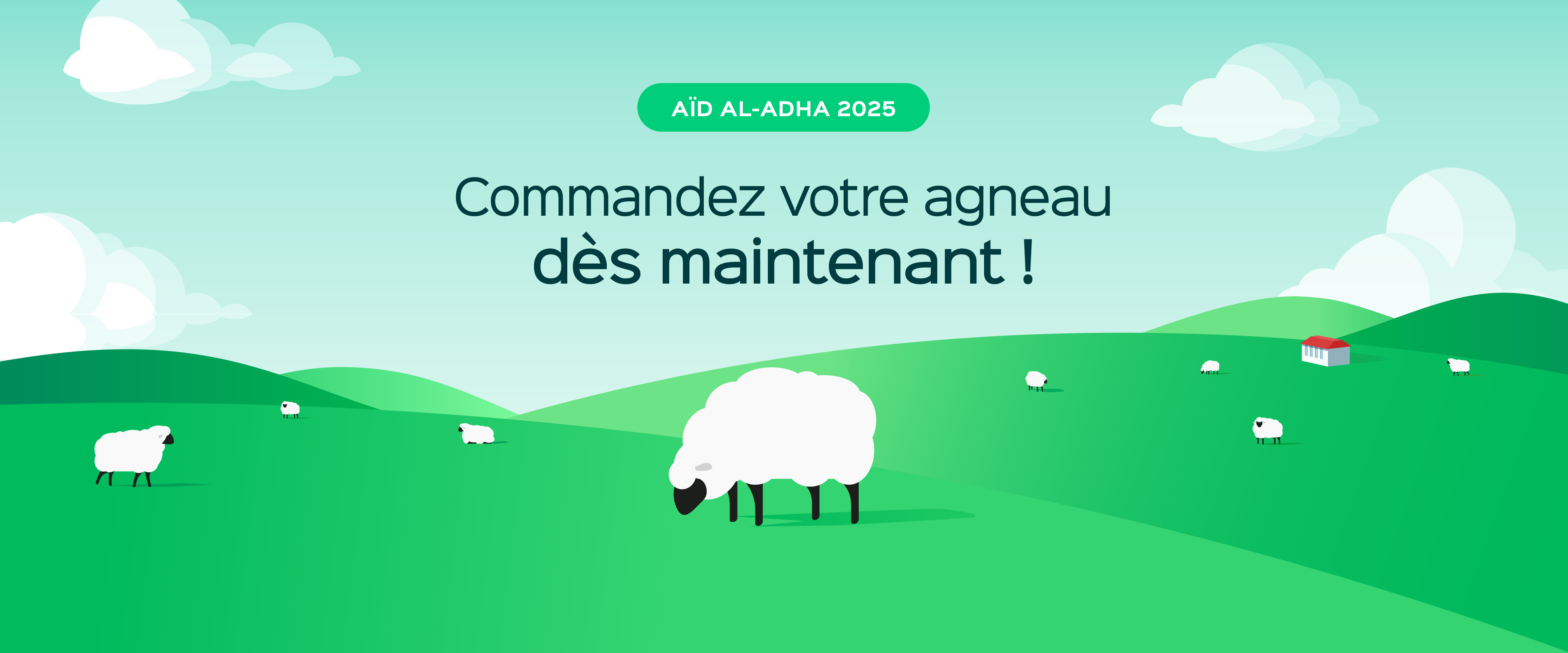 Leader de la vente d'agneaux en ligne en France