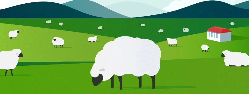 Leader de la vente d'agneaux en ligne en France