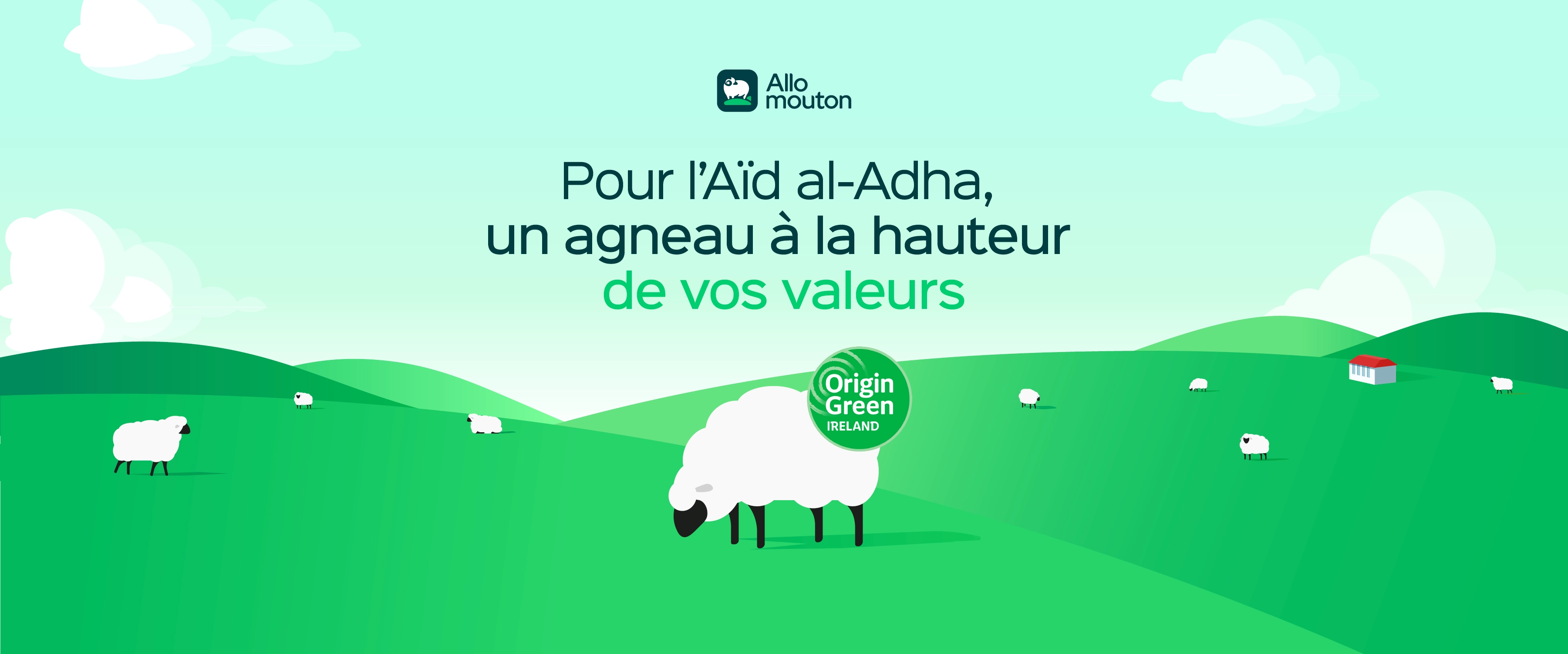 Leader de la vente d'agneaux en ligne en France