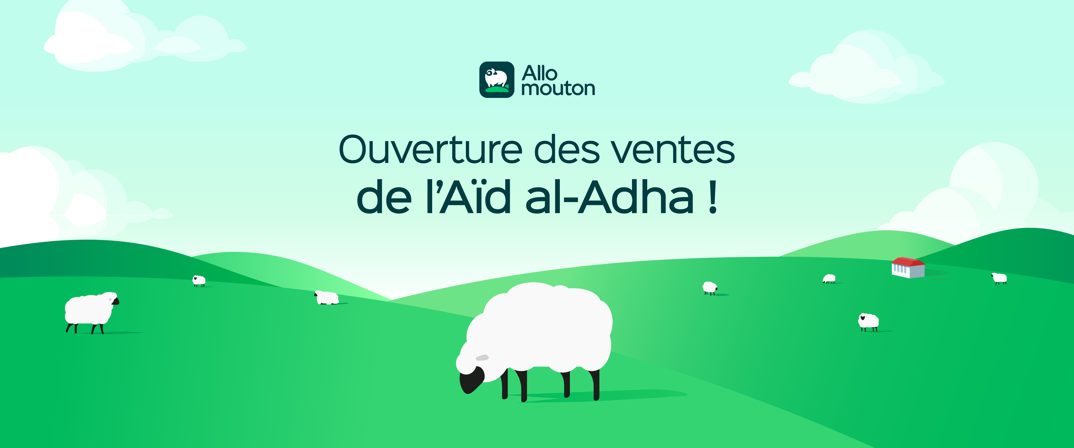 Leader de la vente d'agneaux en ligne en France