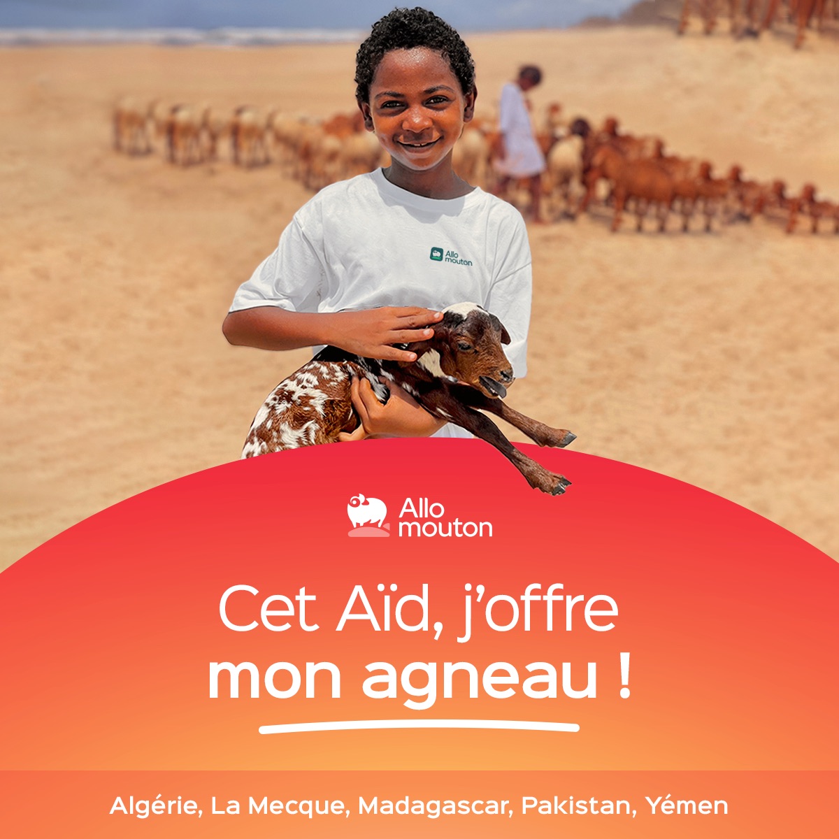 Aid el Adha 2025 - Don à l'étranger Aid el Adha 2025 - Don à l'étranger