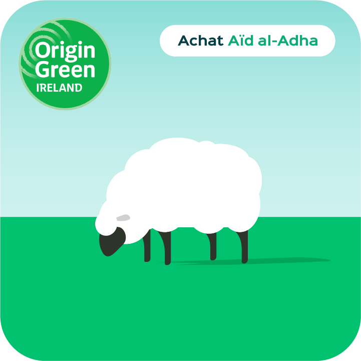 Aid el Adha 2025 - Achat Agneau Origin Green élevé en plein air.