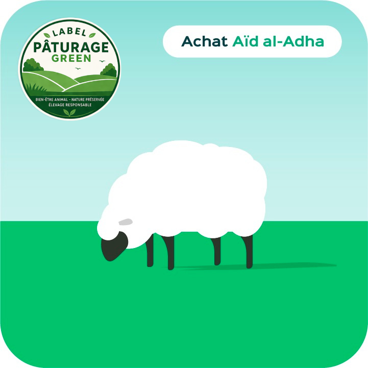 Aid el Adha 2026 - Achat Agneau Origin Green élevé en plein air.